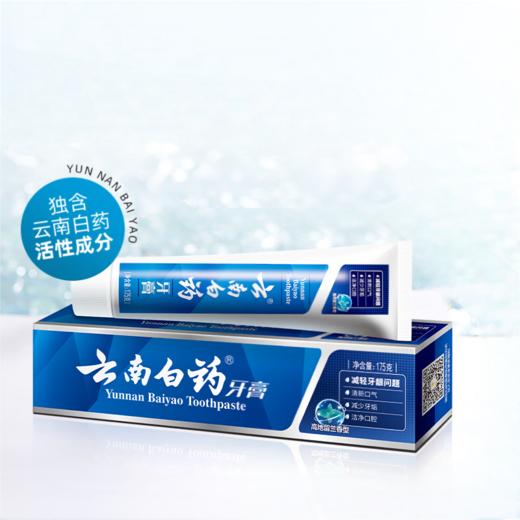 云南白药牙膏高地留兰香型175g*2支 商品图1