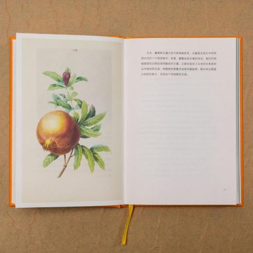 中国食物：水果史话 蔬菜史话 粮食史话青少年科普读物 商品图2