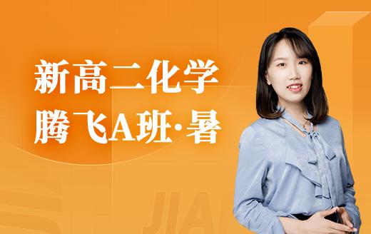 2025新高二化学腾飞A班（暑） 商品图0