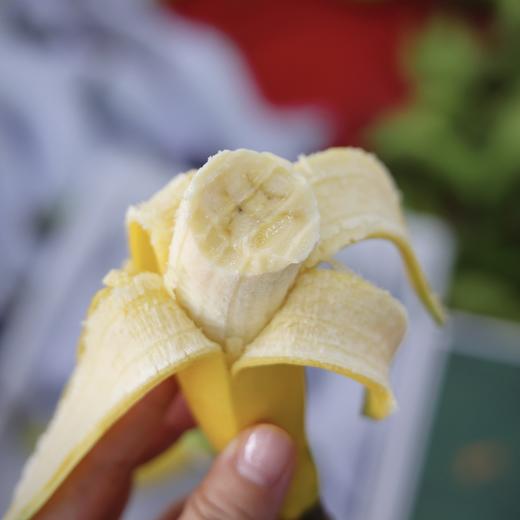 🔥🔥3斤送1斤🍌佳丽香蕉，软糯香甜，肉质丝滑细腻 /3斤（16-30根） 商品图0