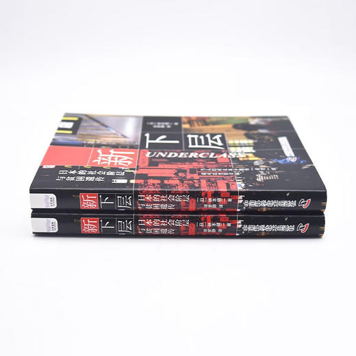 新下层：日本的社会阶层与贫困遗传 商品图6