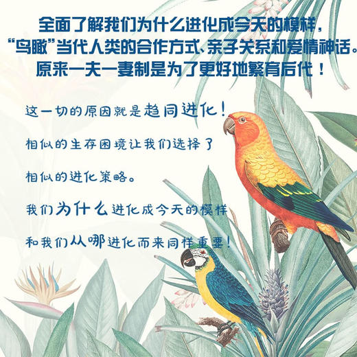 镜中的鹦鹉：我们有可能进化成鸟类吗？（精装典藏版） 商品图3