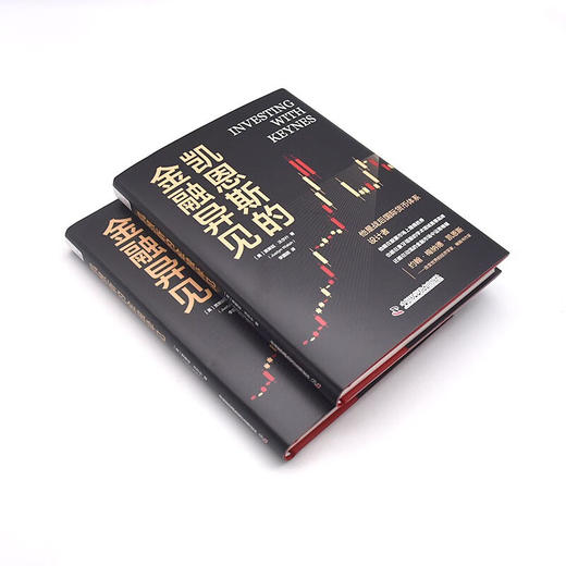 凯恩斯的金融异见 商品图4