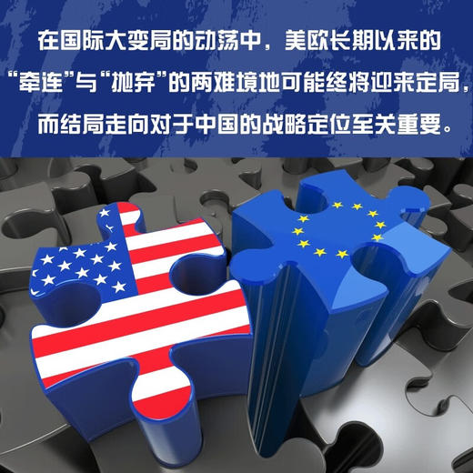 百年变局和美欧同盟：剖析美欧百年来的爱恨情仇，解读瞬息万变的国际格局 商品图3