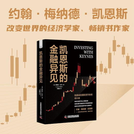 凯恩斯的金融异见 商品图0