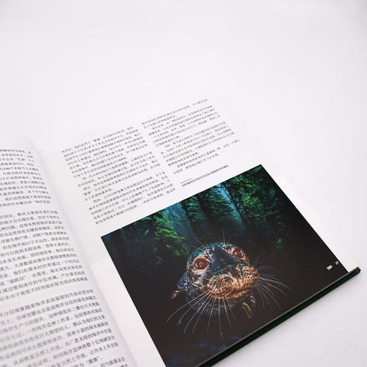 再生:用一代人的努力终结气候危机（精装典藏版） 商品图9