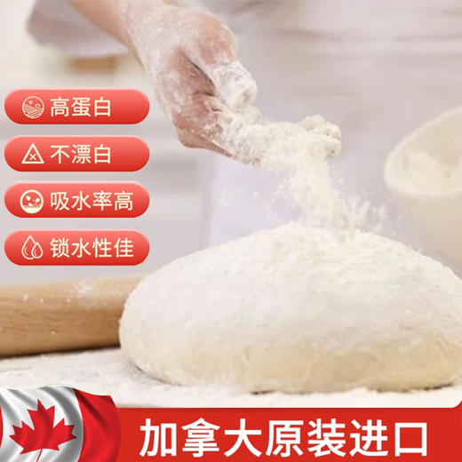 加拿大面粉 高蛋白 神奇高中低筋通用面粉 犹太洁食认证  无调理剂、防腐剂、增白剂 加拿大原箱进口 中西面点高中低筋都适用 包邮 |百里食 商品图0
