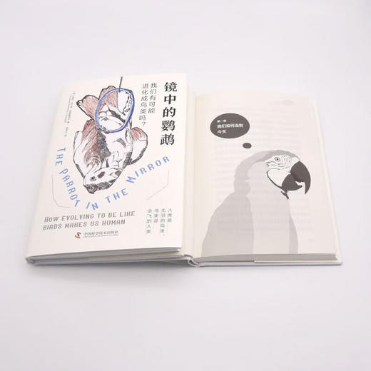 镜中的鹦鹉：我们有可能进化成鸟类吗？（精装典藏版） 商品图9