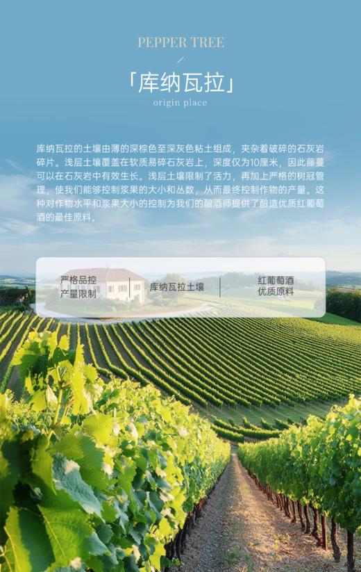 完税  澳大利亚酒  胡椒树庄园  库纳瓦拉赤霞珠干红葡萄酒 商品图4