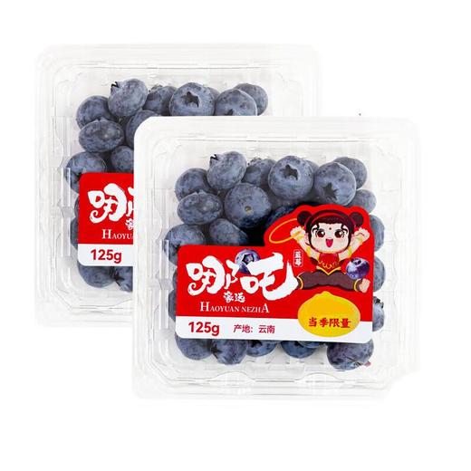 哪吒蓝莓15+ 商品图0