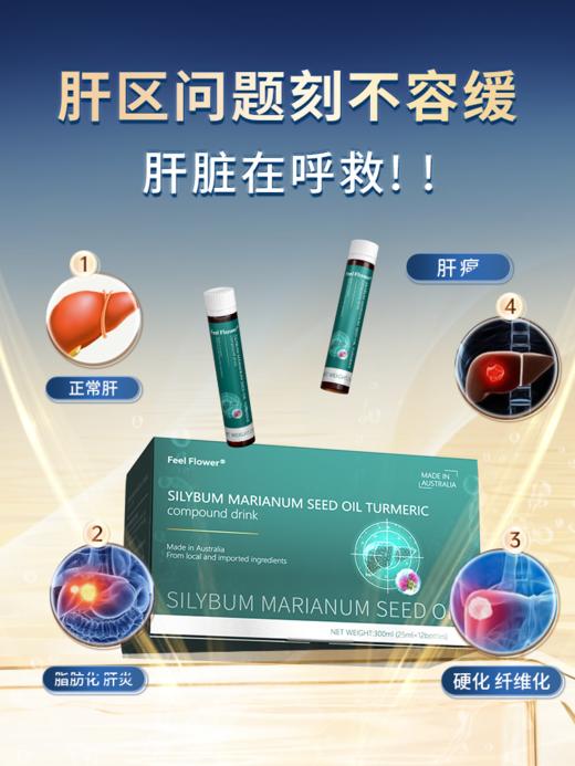 Feel Flower 斐利德 水飞蓟籽油姜黄复合饮品 12支 商品图2