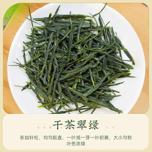 【2026年新茶现货】茶马世家丨明前头采 恩施玉露 绿茶  特级 50g 罐装  商品图3