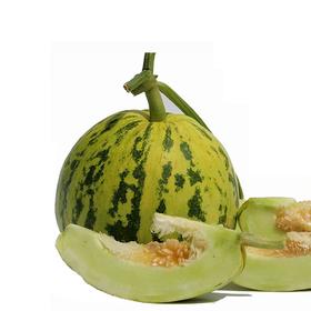 A花蕾香瓜（1000±50g）甜瓜