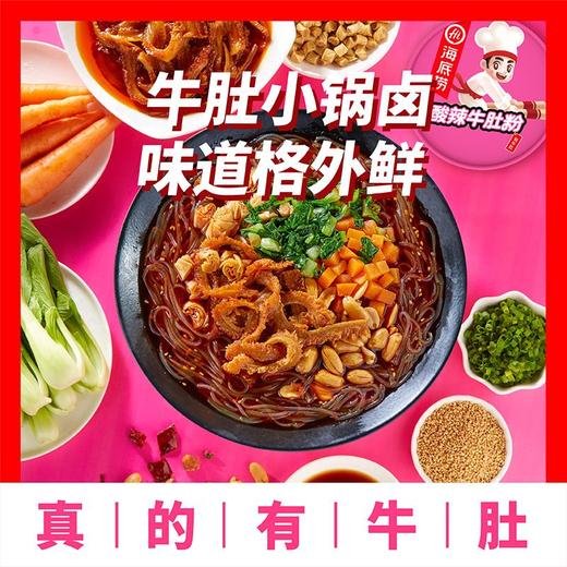 海底捞酸辣牛肚粉 160g 商品图2