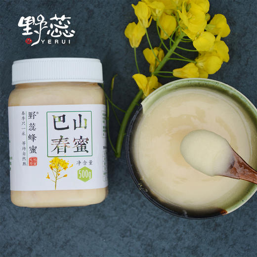 四川巴中巴山春蜜500g 商品图0