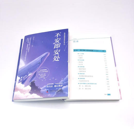 不安即安处：心理咨询师的悲伤疗愈手记 商品图9