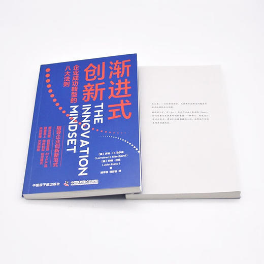 渐进式创新：企业成功转型的八大法则 商品图8