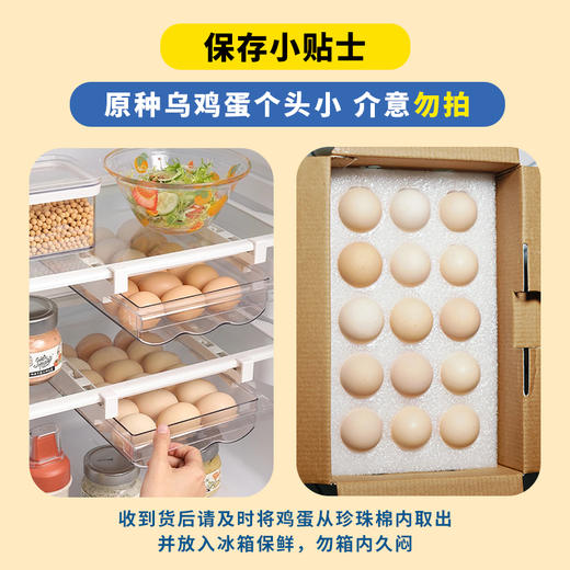 正宗泰和原种乌鸡蛋 30枚装/60枚装 乌乡基农家散养新鲜可生食土鸡蛋 商品图2