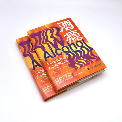 酒瘾：人们为何饮酒，人们如何改变 商品图4