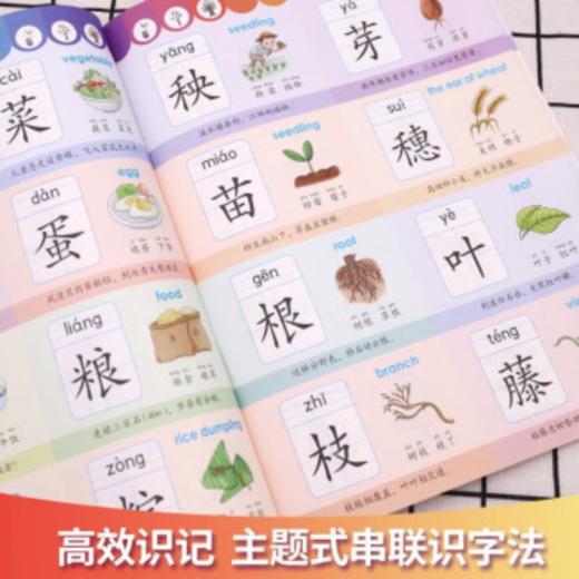 学前识字1000（AY） 商品图1