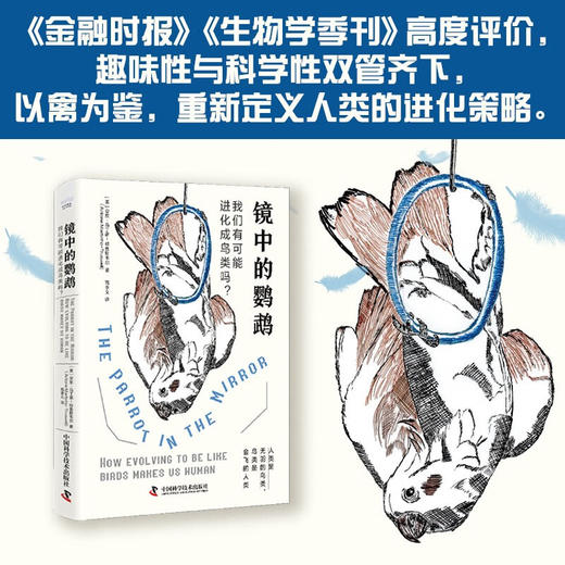 镜中的鹦鹉：我们有可能进化成鸟类吗？（精装典藏版） 商品图0