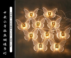 10头小拉丝蝴蝶灯串（运费自理）