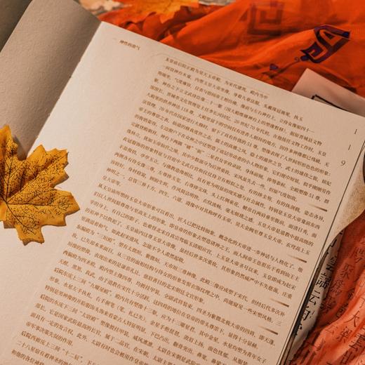 唐风宋雨：泽州国宝青莲寺、玉皇庙唐宋彩塑考析 商品图12