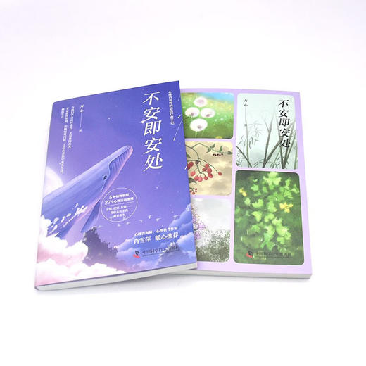 不安即安处：心理咨询师的悲伤疗愈手记 商品图6