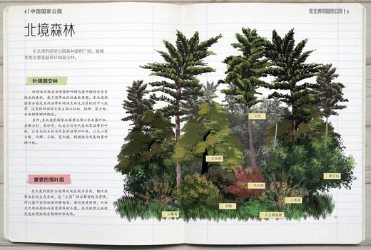 “中国国家公园”系列（共5册） 商品图5