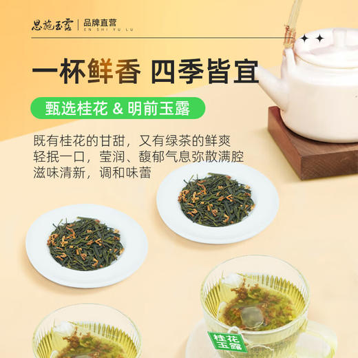 茶马世家丨桂花玉露 花茶 茶马世家桂花玉露（追香）盒装 45g（2.5g*18袋）桂花绿茶 商品图6