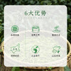 【2026年新茶现货】茶马世家丨明前头采 恩施玉露 绿茶  特级 50g 罐装  商品缩略图2