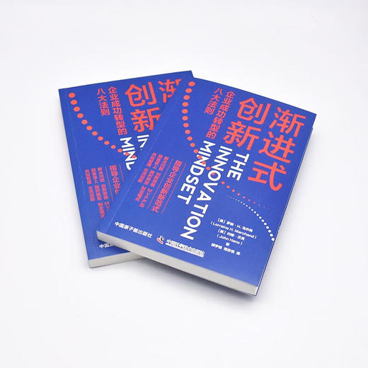 渐进式创新：企业成功转型的八大法则 商品图5