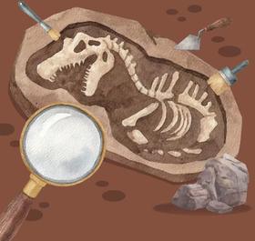 【南京】化石密码-打包化石