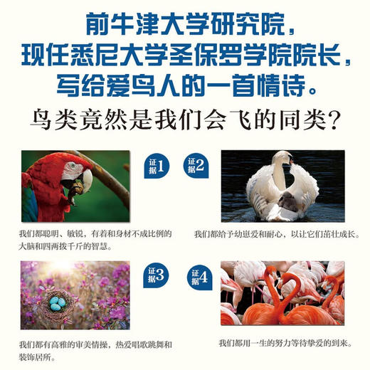 镜中的鹦鹉：我们有可能进化成鸟类吗？（精装典藏版） 商品图2