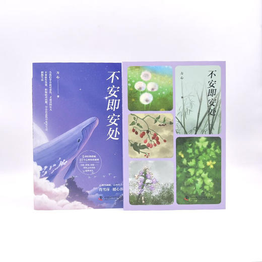 不安即安处：心理咨询师的悲伤疗愈手记 商品图8