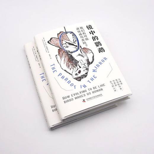 镜中的鹦鹉：我们有可能进化成鸟类吗？（精装典藏版） 商品图4
