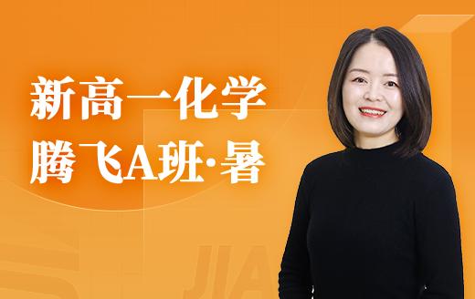 2025新高一化学腾飞A班（暑） 商品图0