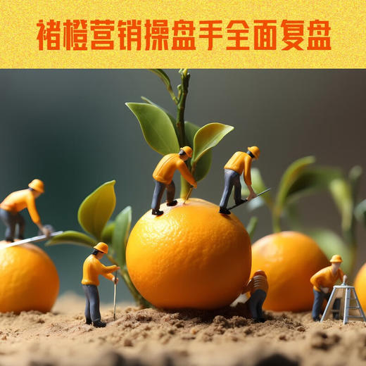 褚橙方法1：重新定义品牌 商品图3