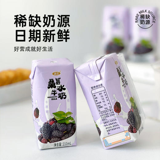 【分仓直发包邮】左江桑葚水牛奶210ml*10盒/箱 商品图6