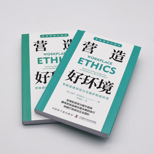 营造好环境：掌握道德领导力与维护职场环境 职场领导力提升系列丛书 商品图5