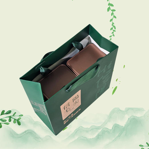 Hi信阳.毛尖套装【绿半斤装.1提2个125g听】3.9元1套.整箱100套 商品图4