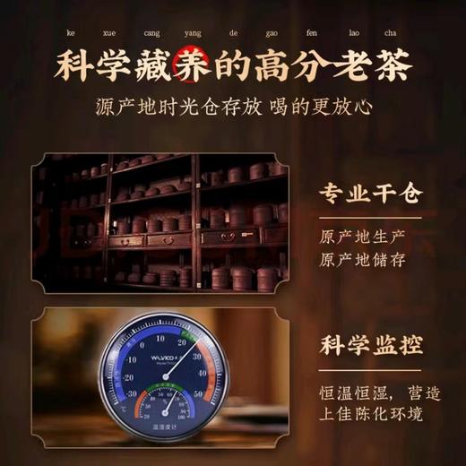 澜沧古茶【11年陈老茶】2013年抱诚大饼普洱茶生茶11年陈生茶 357g*1饼 商品图1