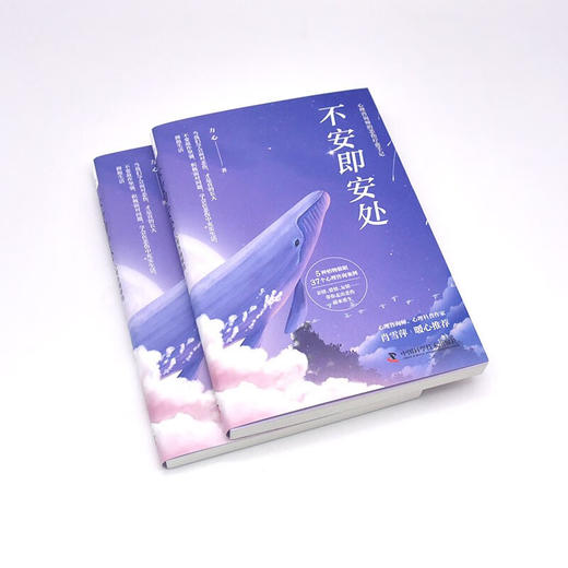 不安即安处：心理咨询师的悲伤疗愈手记 商品图4