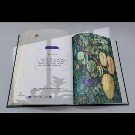 至美邱园·馆藏手绘植物图谱（观赏类） 商品图4