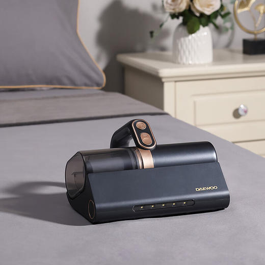 大宇（DAEWOO）除螨仪床上家用宿舍紫外线杀菌除螨吸尘器_DYCM-026 商品图0