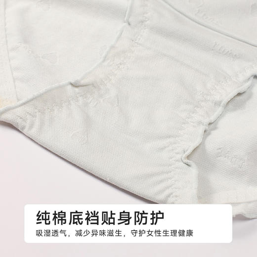都市丽人舒肤棉纯棉系列RC提花三角裤LKH3A2 商品图7