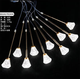 DD24179-10头灯串（运费自理）