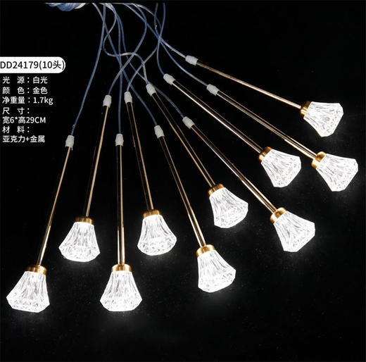 DD24179-10头灯串（运费自理） 商品图0