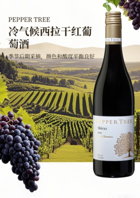 完税  澳大利亚酒  胡椒树庄园  冷气候西拉干红葡萄酒