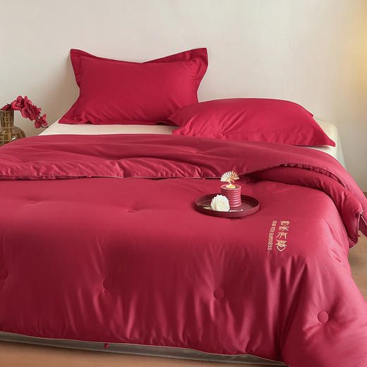 自然醒吾家有喜60支长绒棉刺绣婚嫁被轻奢新婚喜被20%蚕丝蛋白红色春秋被结婚床上冬加厚（配送婚庆大红手提袋）TD 商品图3